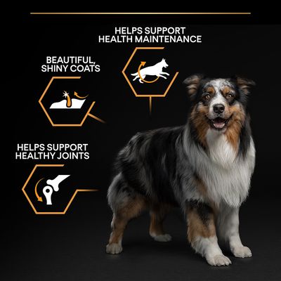 PURINA PRO PLAN Nutrizione quotidiana per adulti di taglia media
