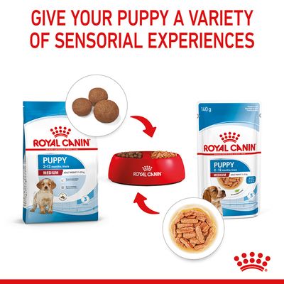 Royal Canin Medium Puppy in Soße