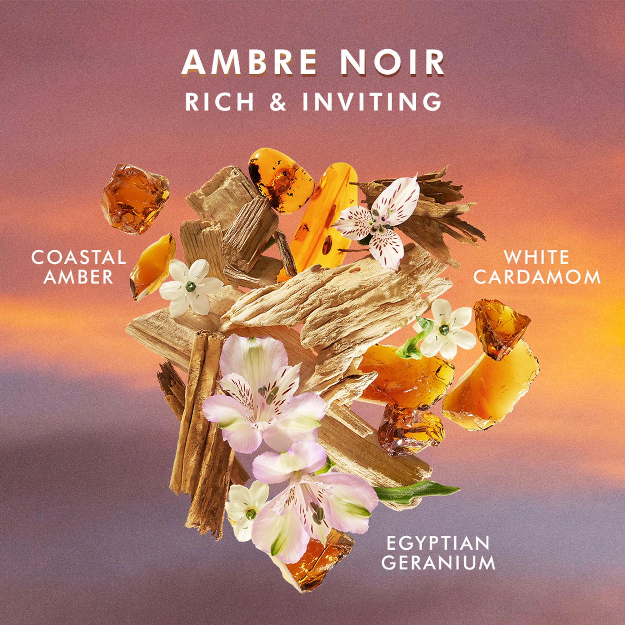 Body body lotion ambre noir - Latte Corpo