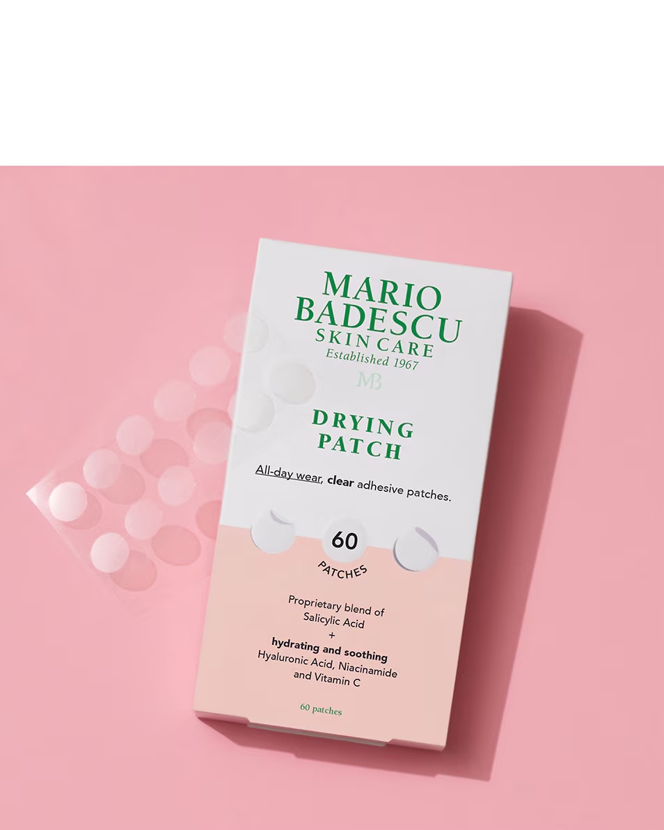 MARIO BADESCU MARIO BADESCU SUŠENJE ŽBUKA