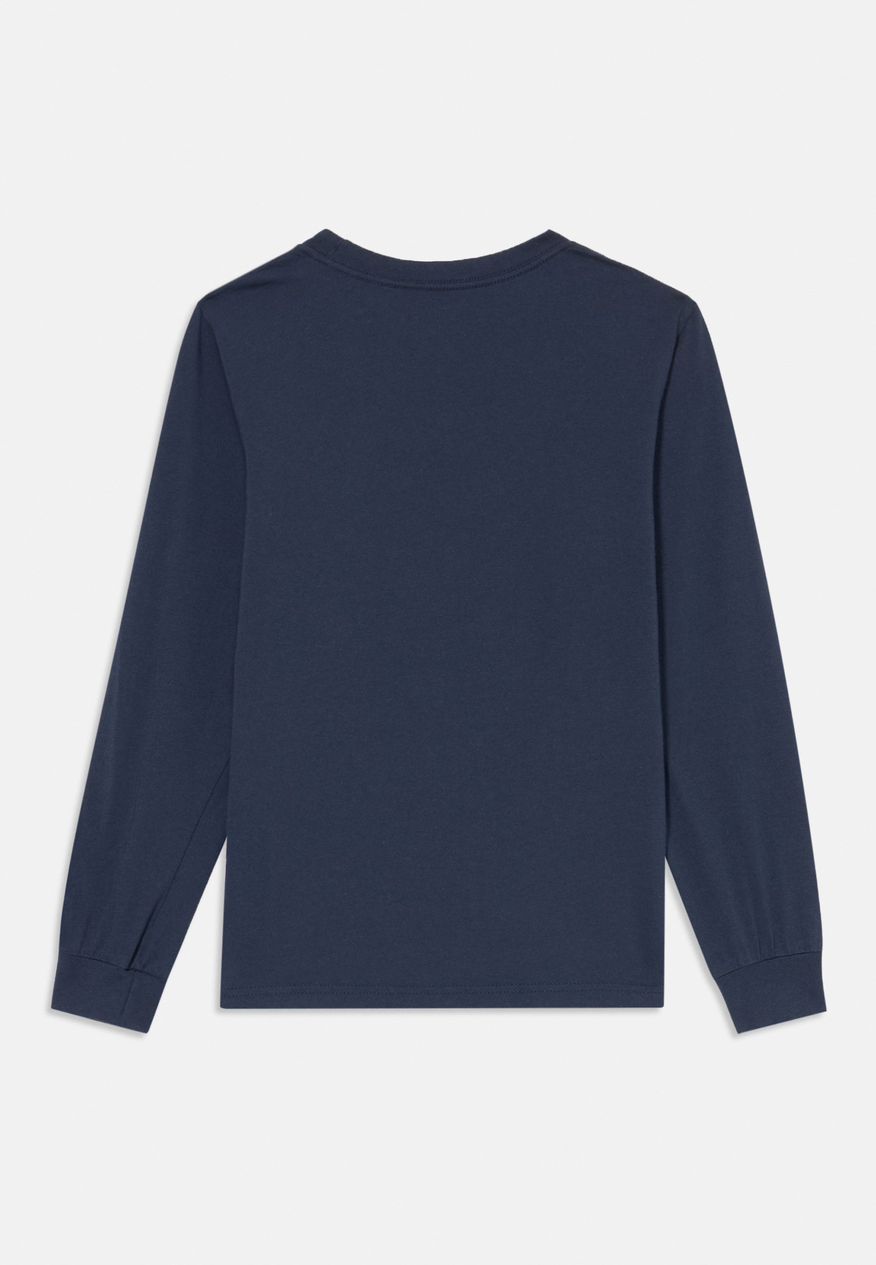 Patagonia GRAPHIC UNISEX - Top met lange mouwen - fitz roy/new navy