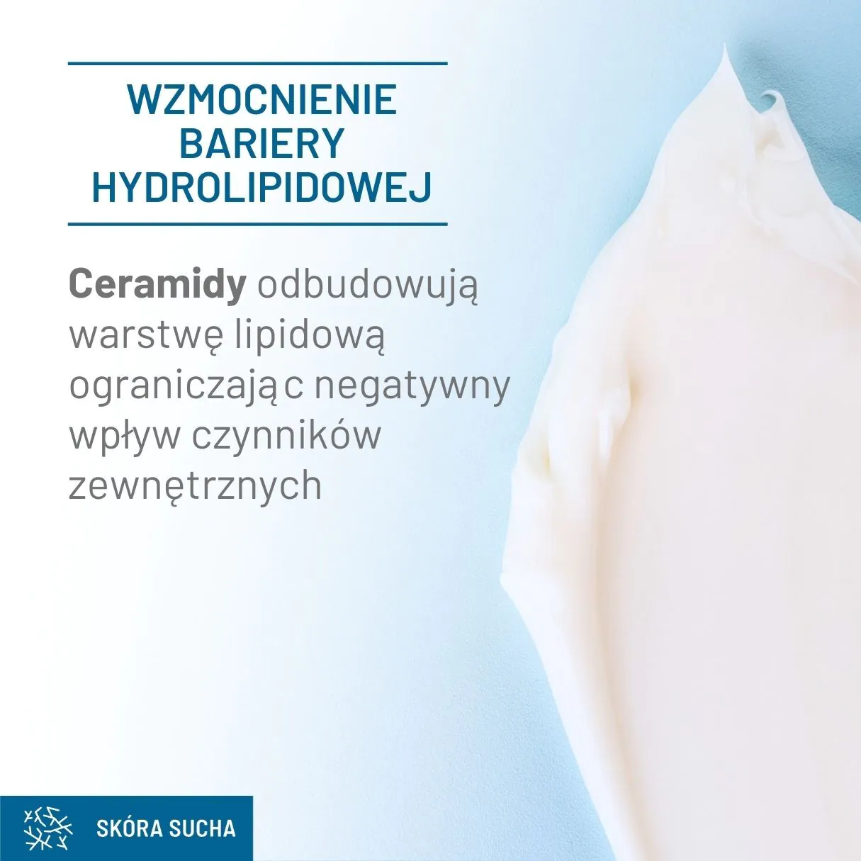 Sylveco Dermo Nawilżający krem do twarzy na dzień