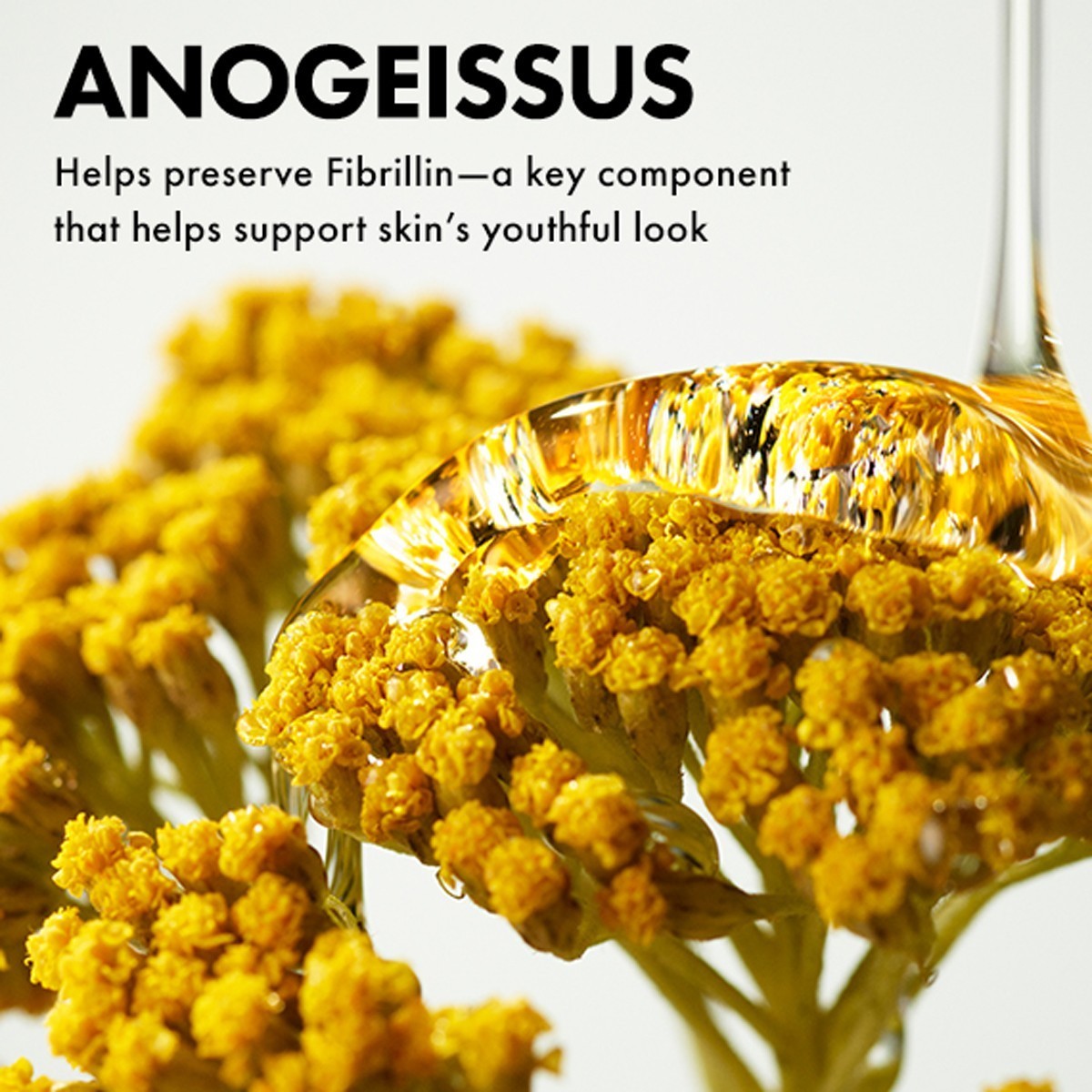 Origins Plantscription™ krema za korekciju bora oko očiju s enkapsuliranim retinolom – 15 ml