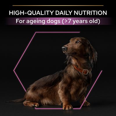 PURINA PRO PLAN Small & Mini Adult 9+ Alder Defence - Kylling