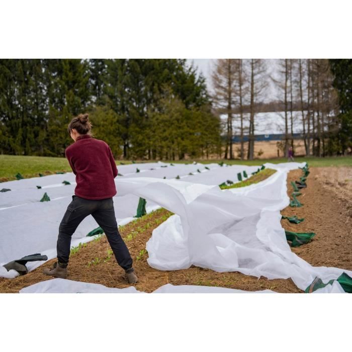 Geotextil/agrotextil blanco 50 g/m2 1,6 m x 50 m