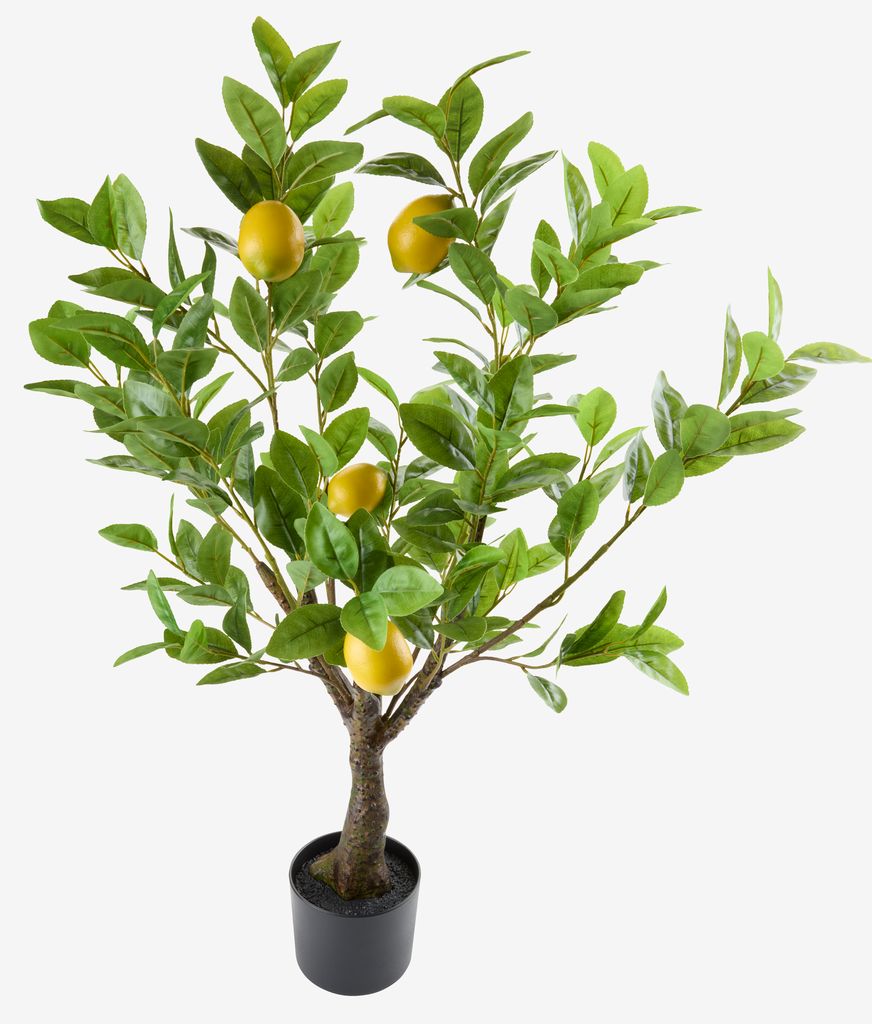 GRANSANGER Dirbtinis augalas GRANSANGER H95cm žalias