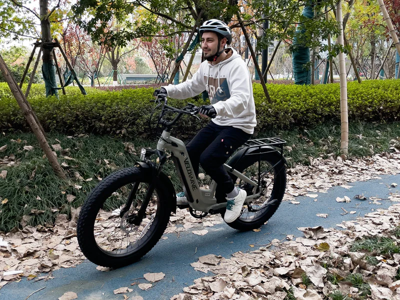 Bicicletă electrică Ranger Step-Thru 2.0
