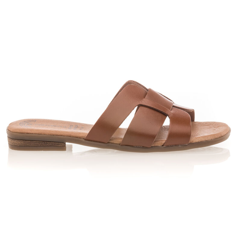 Women's Brown Mules/Clogs