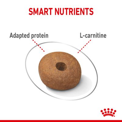 Royal Canin Medium Light Weight Pflege