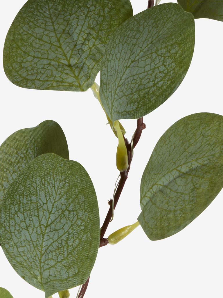Svetelná reťaz BENGT LED BENGT L180 cm s 20 zelenými LED diódami