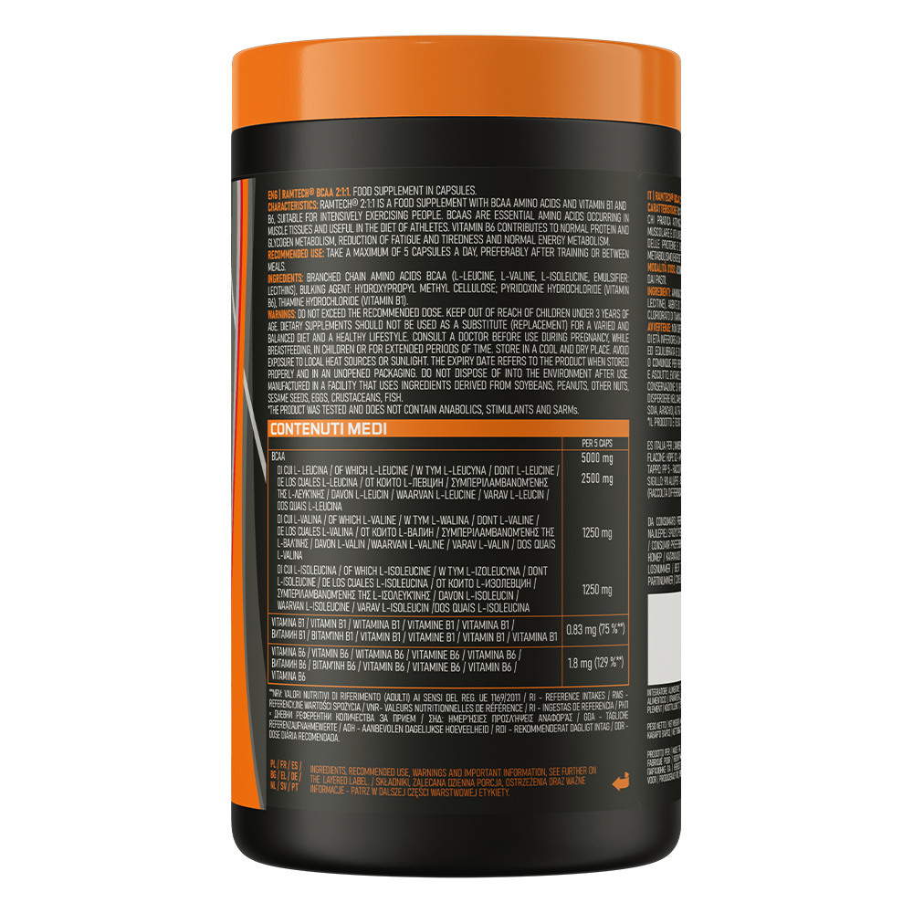 EthicSport Ramtech BCAA 2:1:1