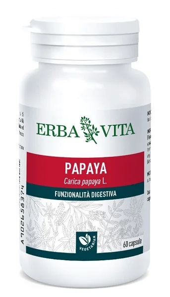 ERBA VITA Papaia 60 kapslit 400 mg