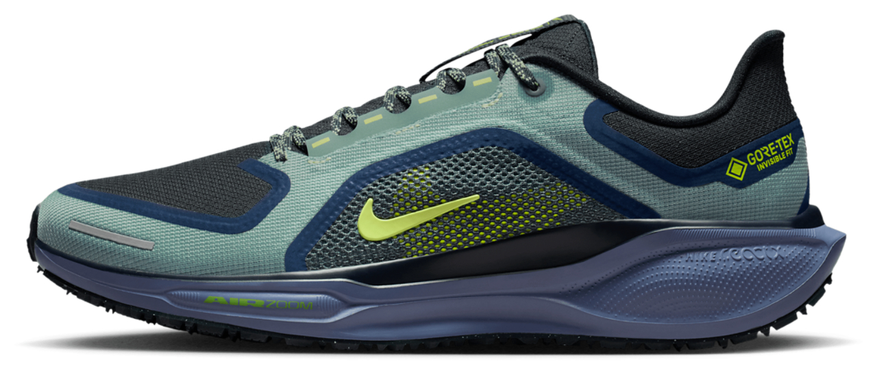 Nike Pegasus 41 Gore-tex