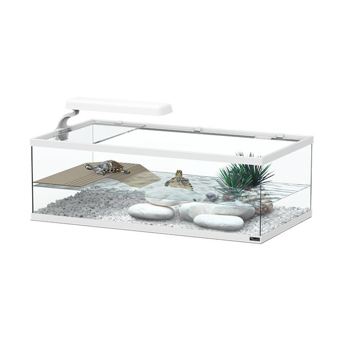 Aqua Tortum 55cm Weiß - Aquatlantis
