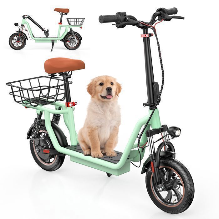 iScooter Electric Scooter with Adult Seat (120kg Capacity), Green, 12