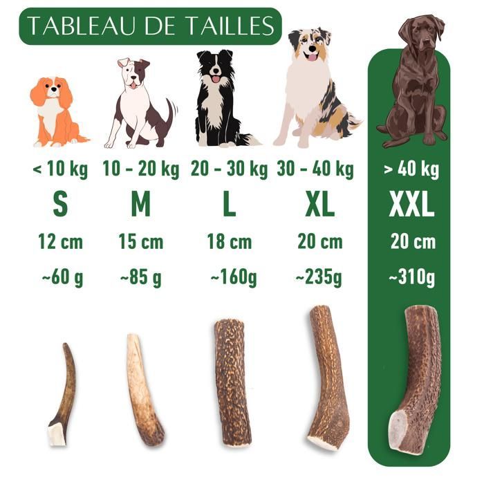 XXL Size Whole Deer Antler for Dogs to Chew Treat for Puppies and Dogs of All Ages Chewing Toy 1 Piece