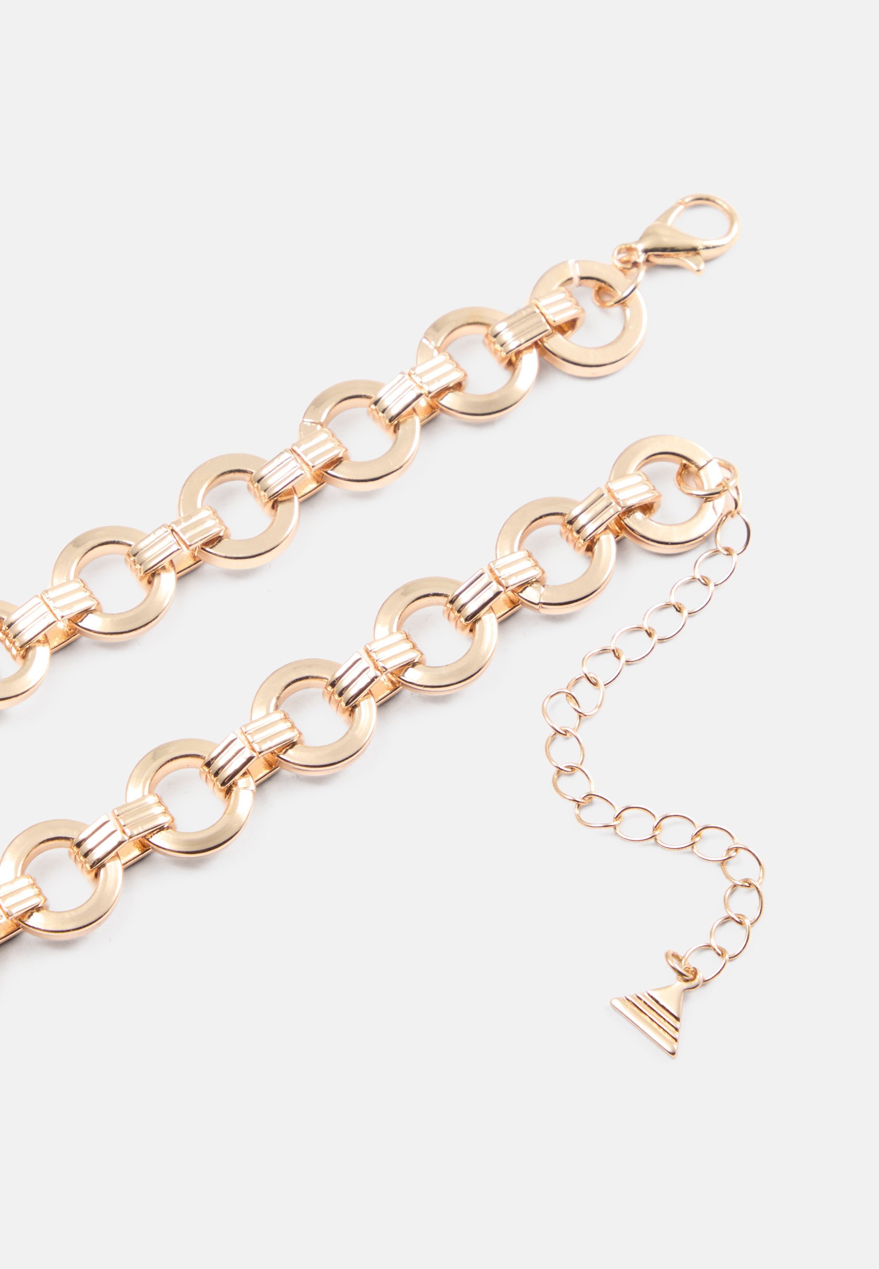 ALDO TREASURECHARMS - Halsketting - bruin