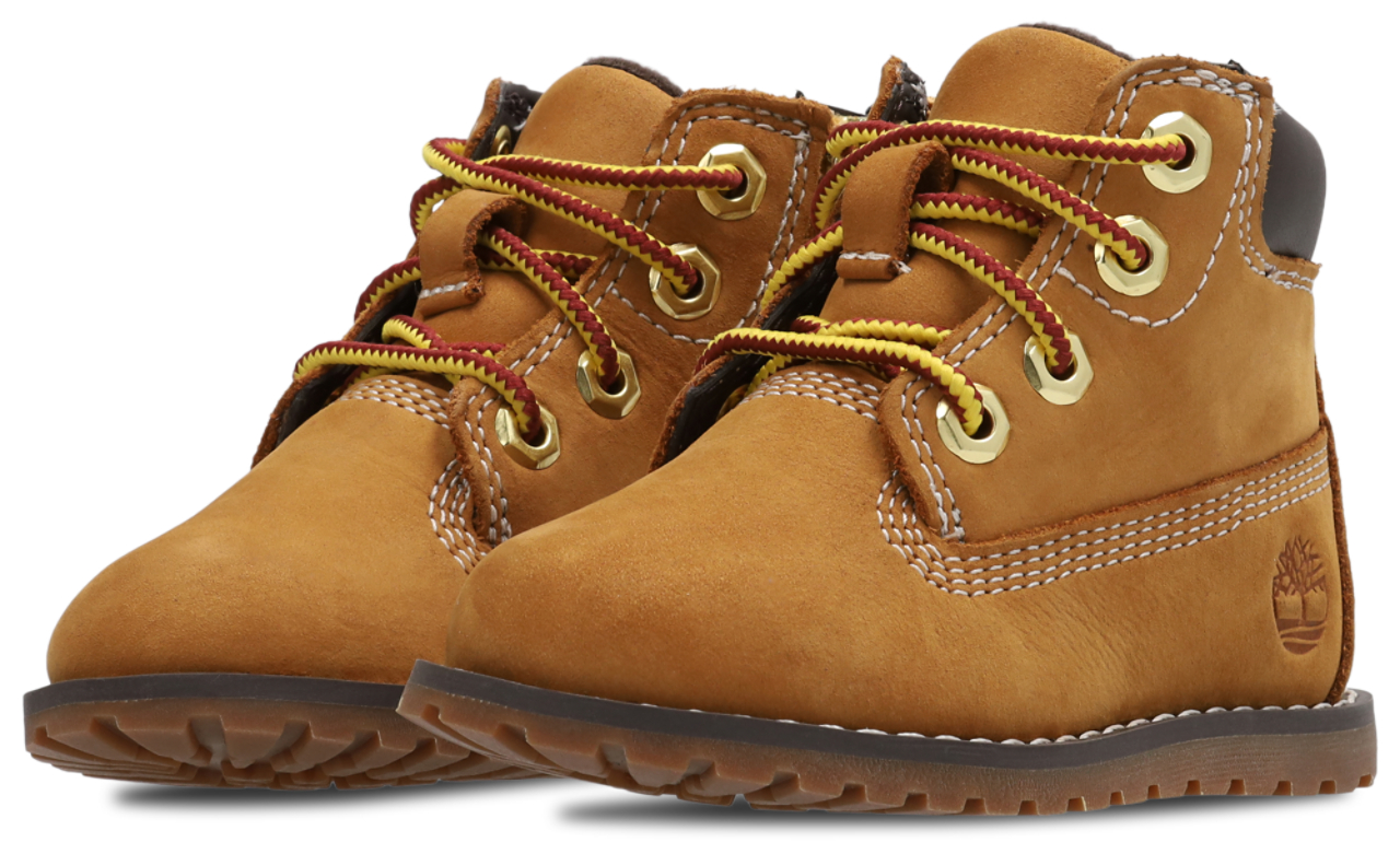 Timberland Pokey Pine 15 cm