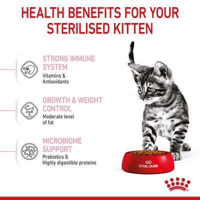 Gesteriliseerde kittens van Royal Canin