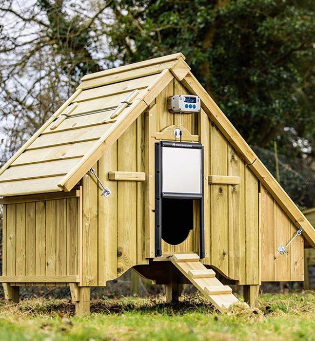 Puerta automática para gallinero