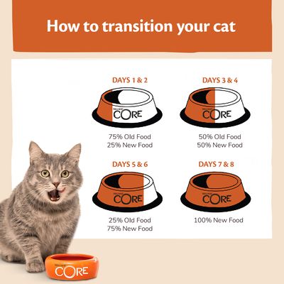 Suché krmivo pro kočky Wellness Core Adult Ocean