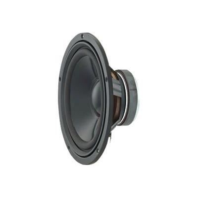 Altoparlante Visaton W 250 S - Woofer Hi-Fi da 25 cm - 75 W - Driver per subwoofer - Grigio