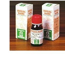 Holly 24 50 ml Urtinktur