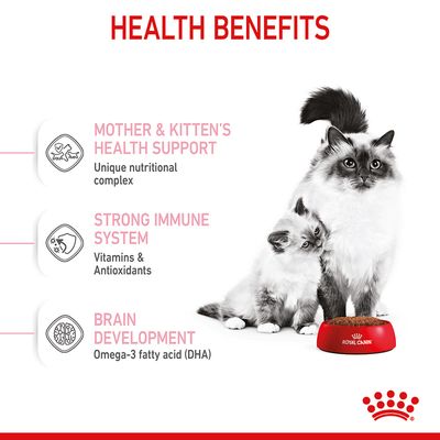 Royal Canin Mère et Bébé Chat