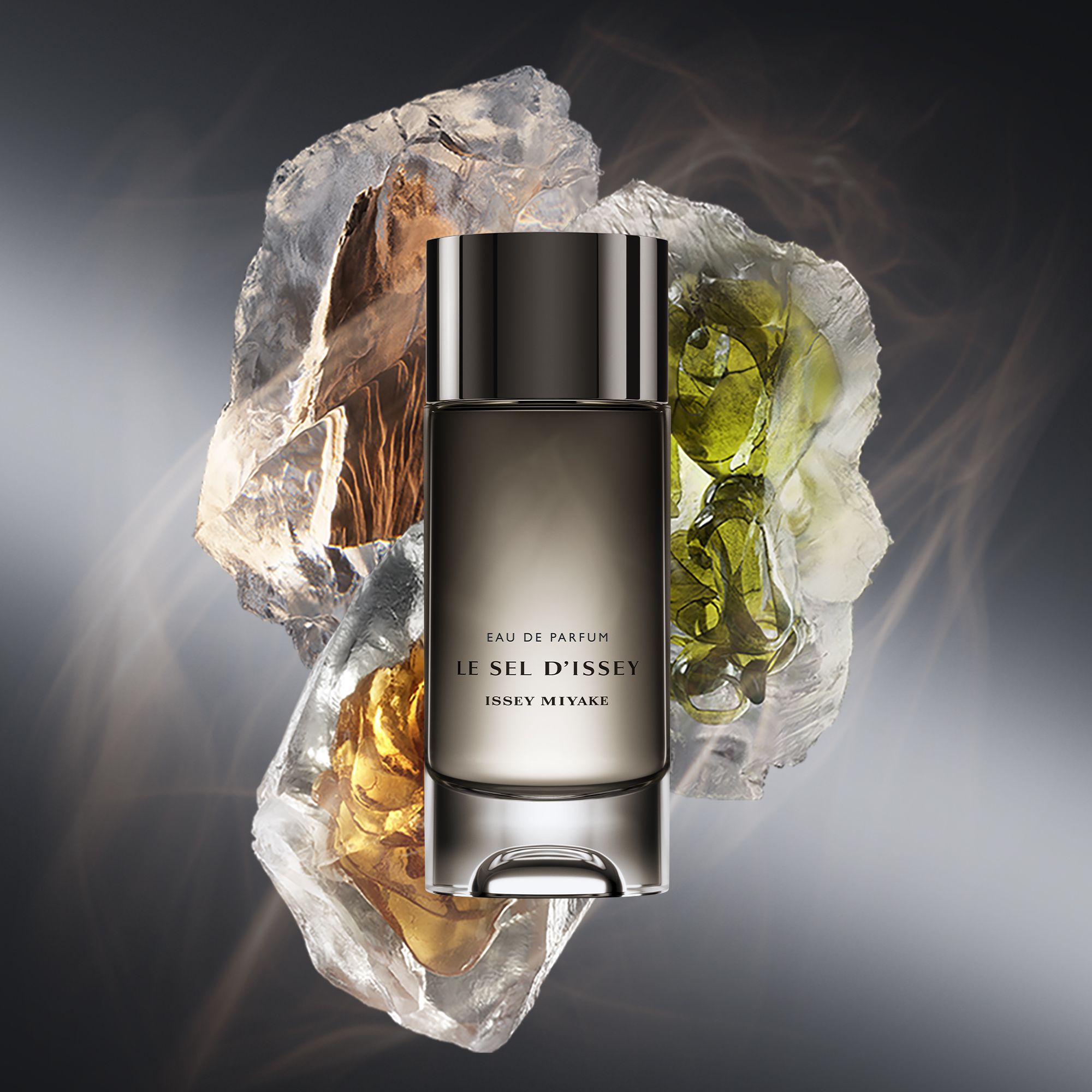 Le Sel D'Issey Eau de Parfum Parfumi za moške