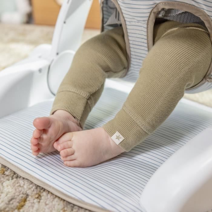INGENUITY Casi de Zebra, Baby Leerstoel - biedt ondersteuning voor de baby, babycadeau