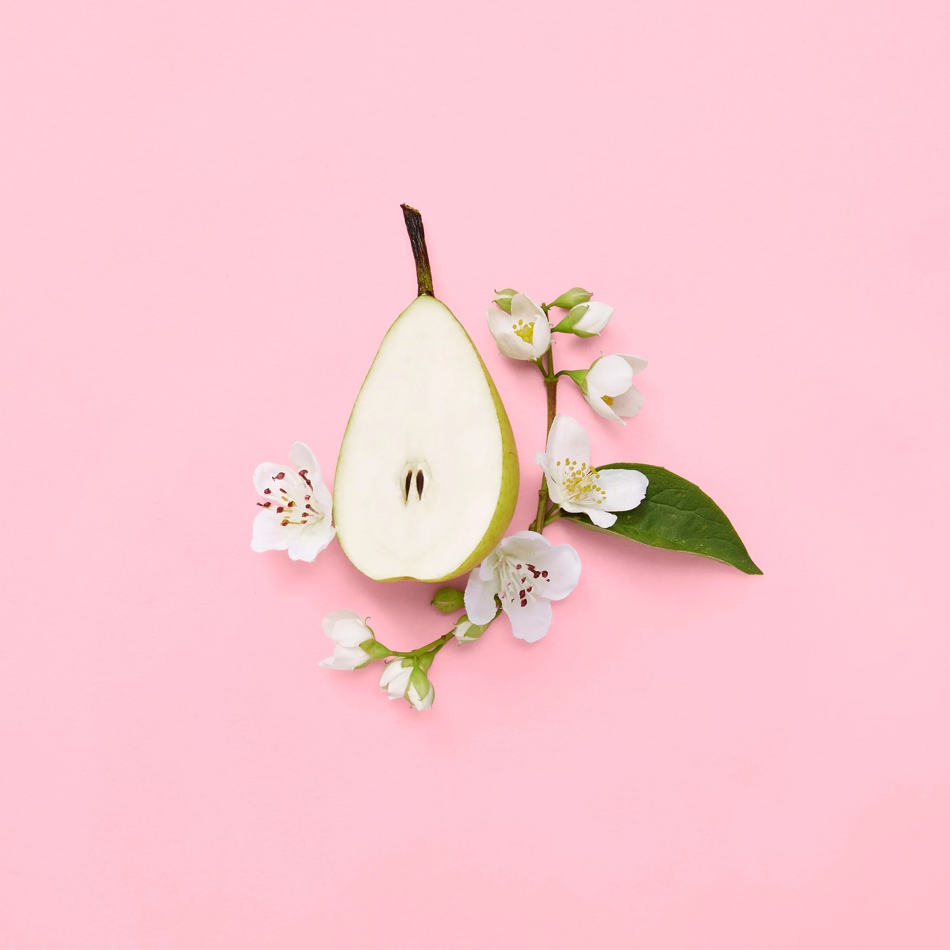 Flora Gorgeous Gardenia EDP 50 ml - Gucci