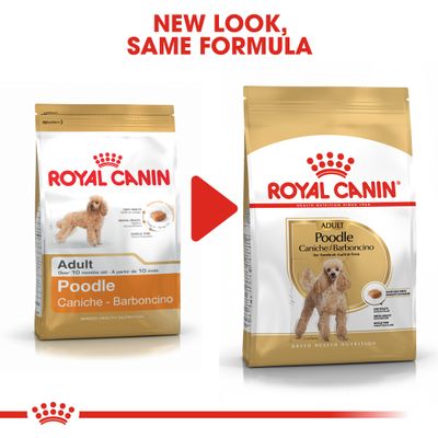 Royal Canin Pudel Erwachsene