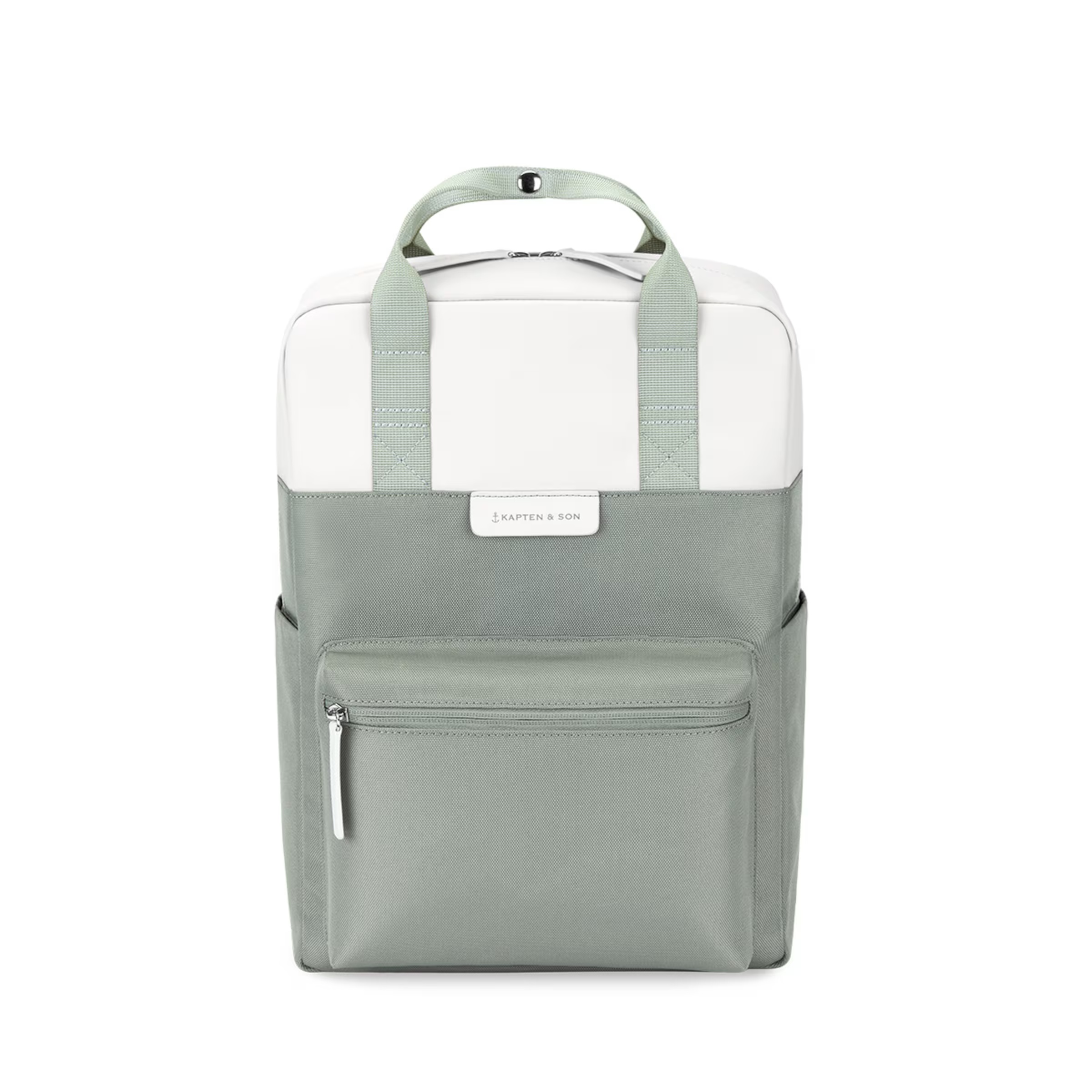 Sauge de Bergen à petite taille et à feuillage discret