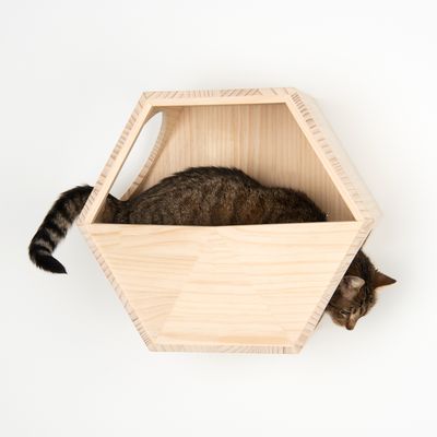 Lulu Wandmontiertes Katzenhaus