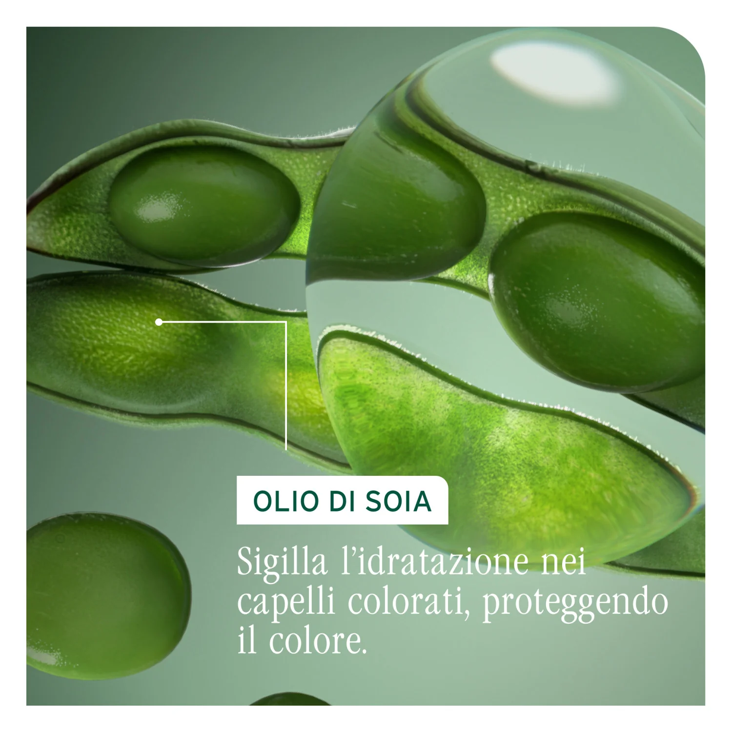 ColorLast Conditioner - Balsamo Protezione Colore Capelli
