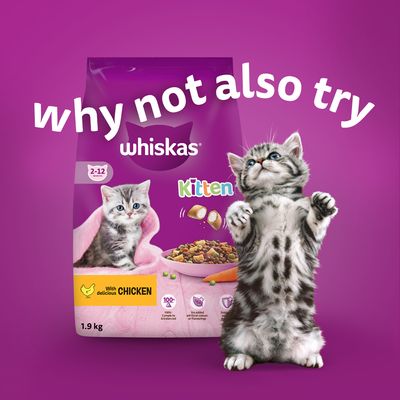 Sachês Whiskas para gatinhos em gelatina