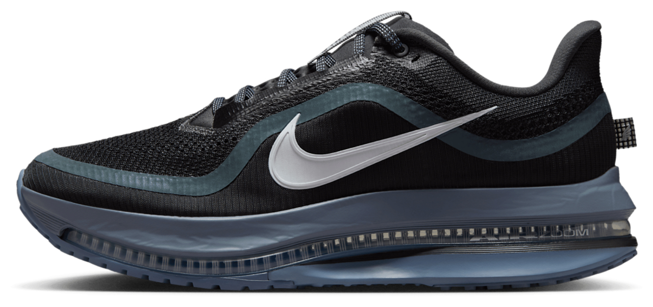 Nike Pegasus Premium Road