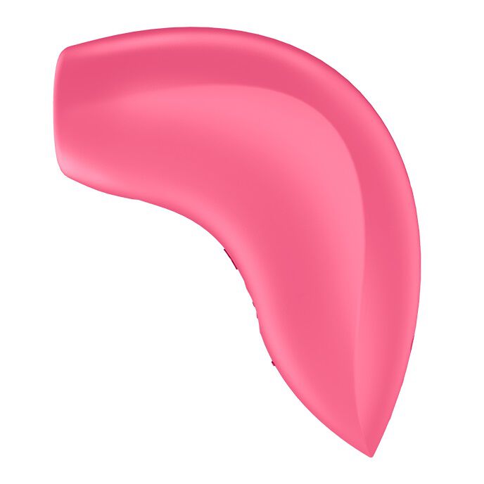 Satisfyer Magnetic Deep Pulse