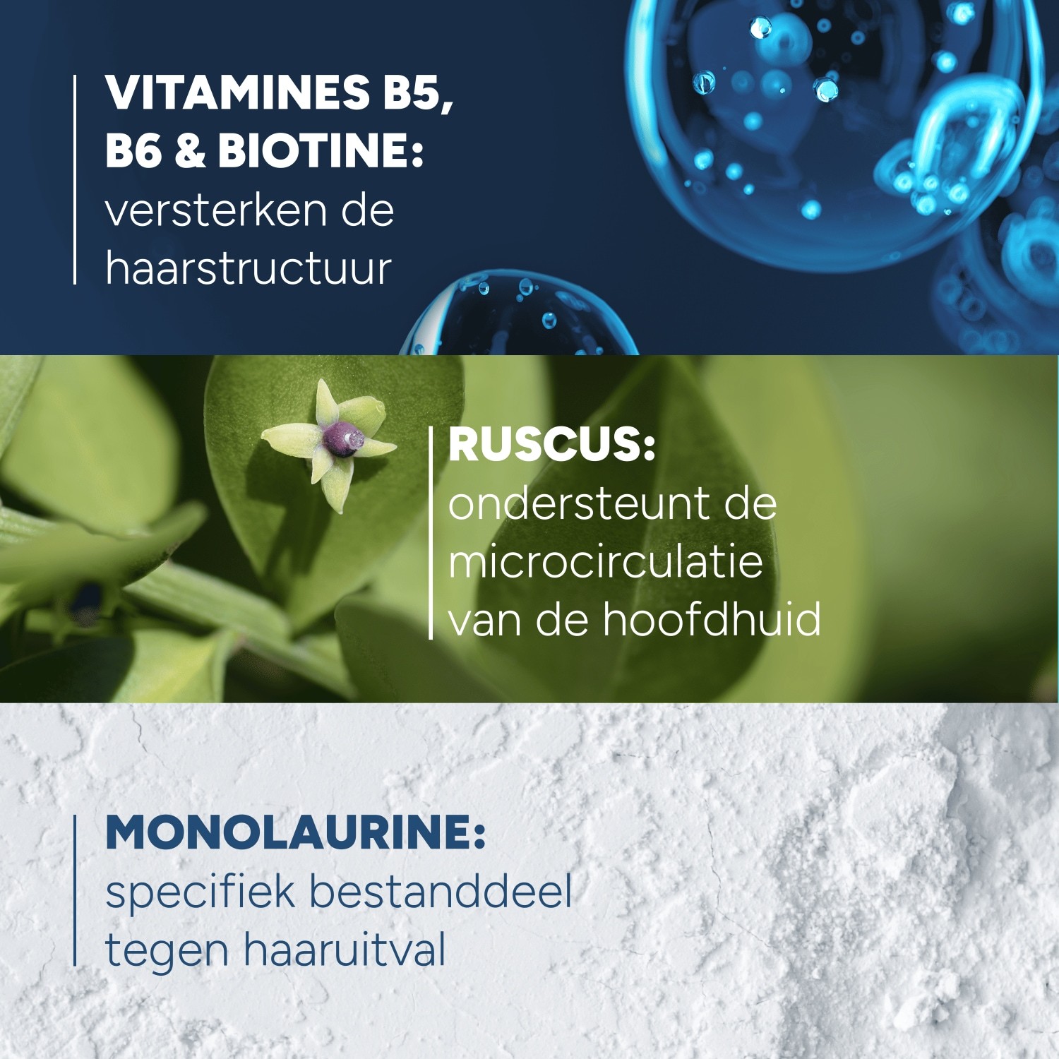 Ducray ANAPHASE+ Šampon protiv opadanja kose za prorijeđenu kosu – 200 ml