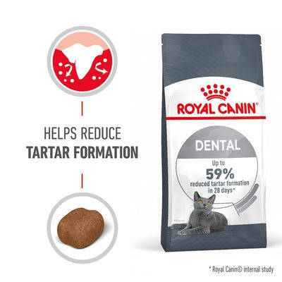 Assistenza odontoiatrica Royal Canin