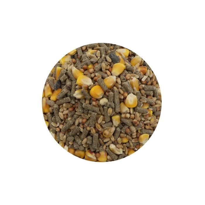 Mezcla de semillas - Para roedores - 4 kg - Equilibrada - Para cobayas, hámsteres y conejos