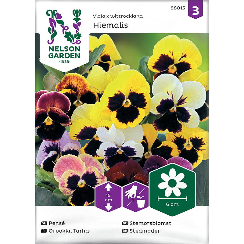 Nelson garden Frø Stedmoderblomst Hiemalis, Tidlig, blå farve