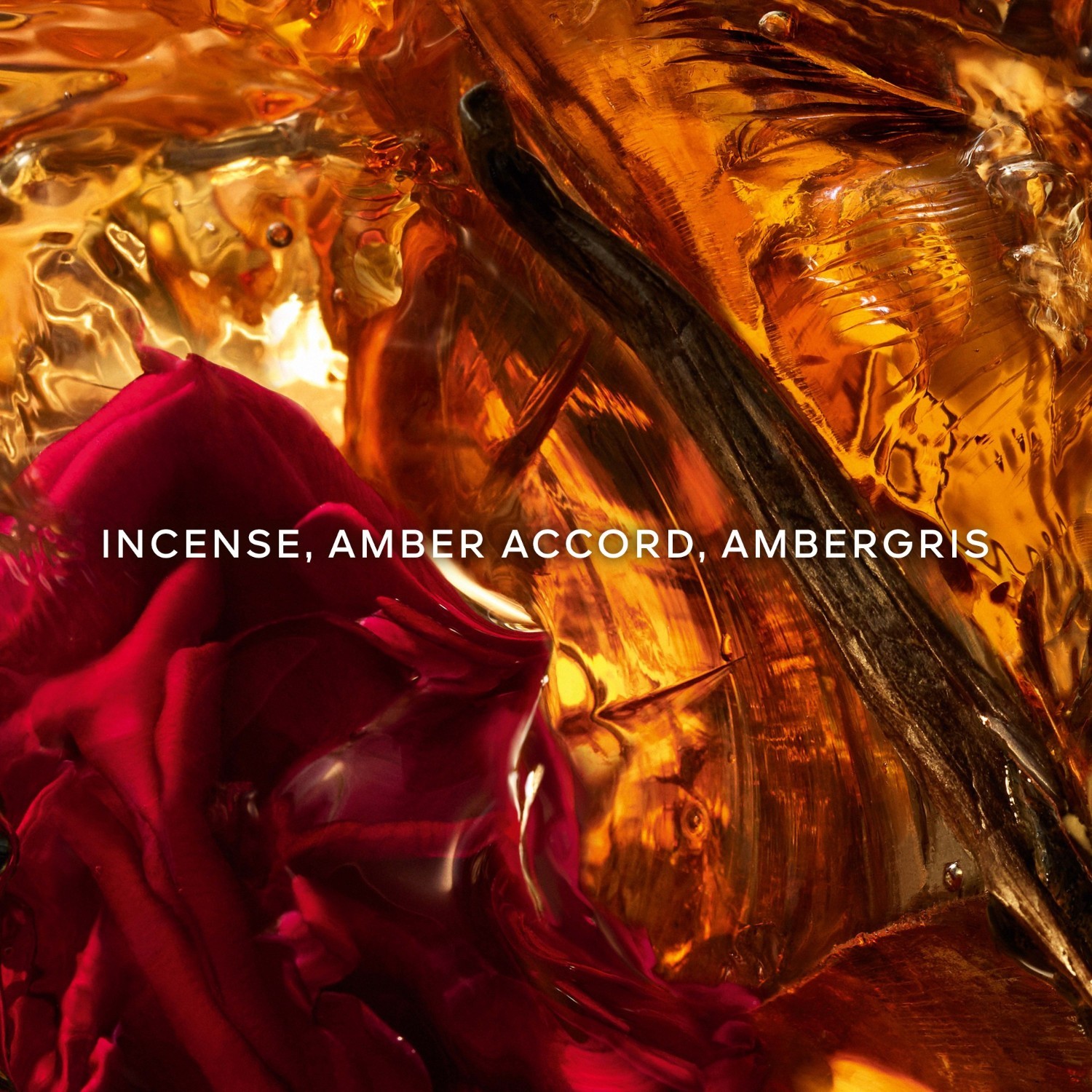 Guerlain Absolus Allegoria Ambre Samar parfemska voda - 125 ml