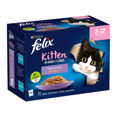 Kociak Felix tak dobry, jak wygląda