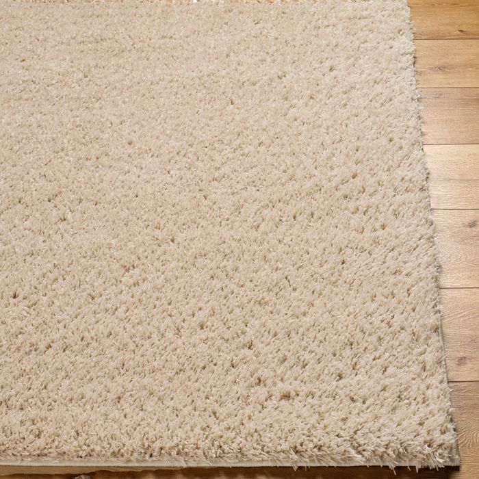 LIVABLISS Tapis de Salon à Poils Longs Doux Shaggy Uni Chic SOSO 160x213cm Beige