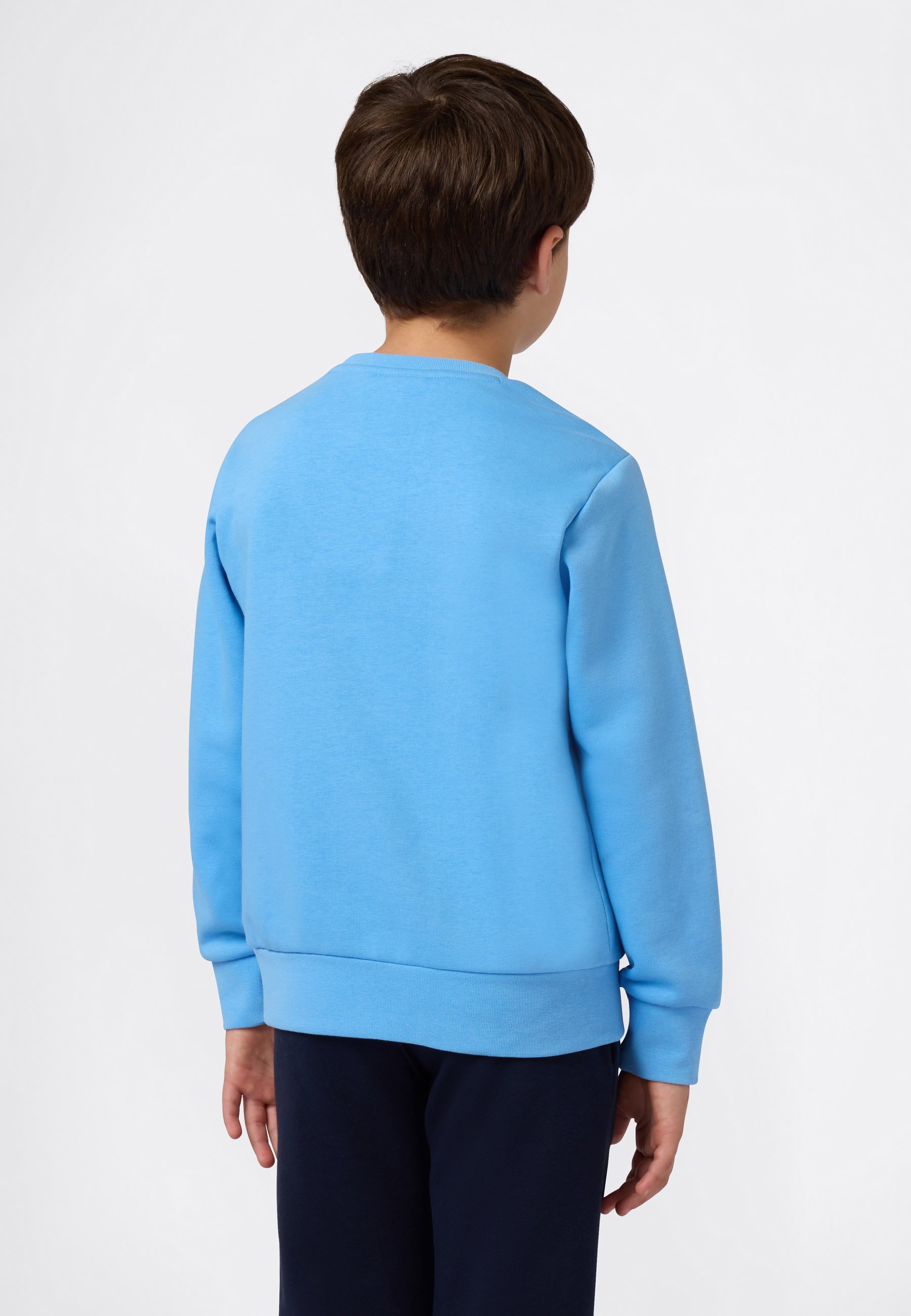 Champion ICONS Rundhals-Sweatshirt – hellblau