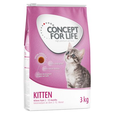 Concept pour Life Kitten