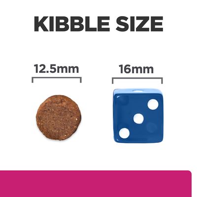 Hill's Prescription Diet Canine Gastrointestinal Biome Digestive/Fibre Care -koiranruoka