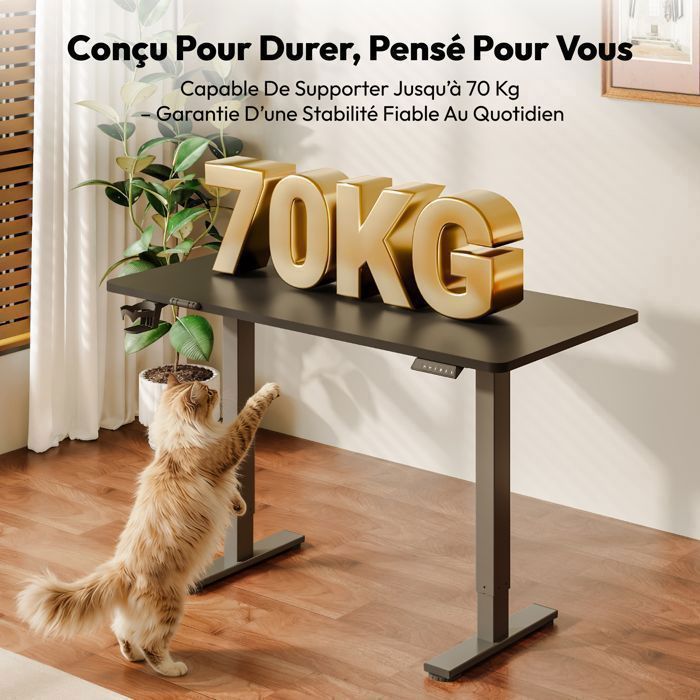 SANODESK Bureau Assis Debout, Plateau Complet110x54cm, Système Anti-Collision, Fonctions Mémoires, Crochet/Porte-gobelet, Noir