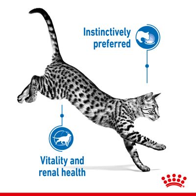 Royal Canin Indoor Sterilised 7+ în sos